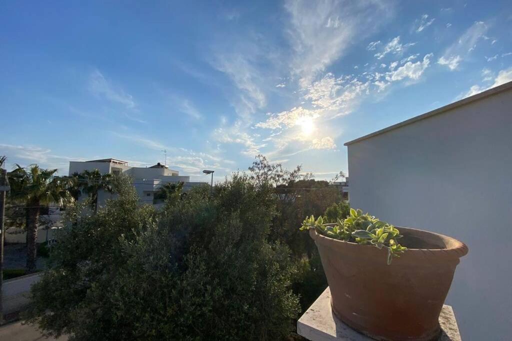 Villa Fiorella Porto Cesareo Primo Piano 2 Locali المظهر الخارجي الصورة